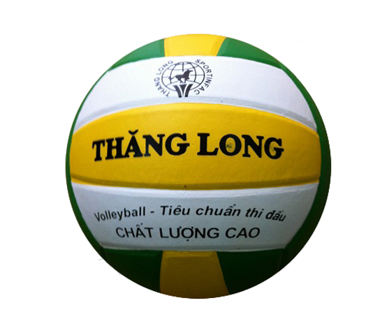 Bóng chuyền Thăng Long thi đấu VB6600